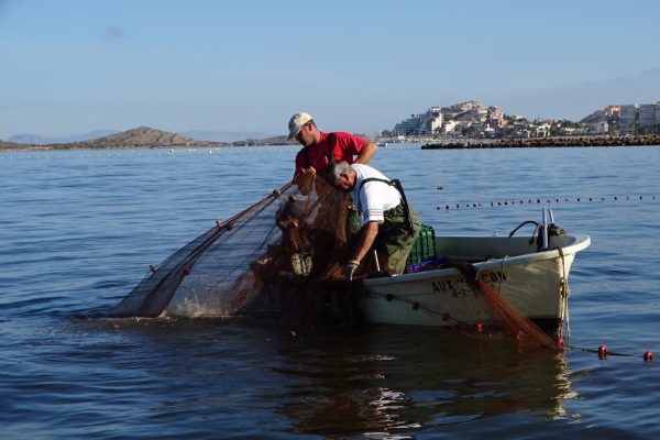 5-pescadores